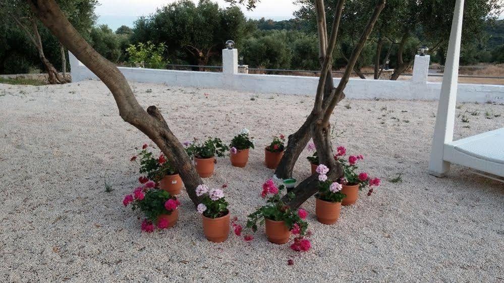 Aparthotel Elaias Gi 2*